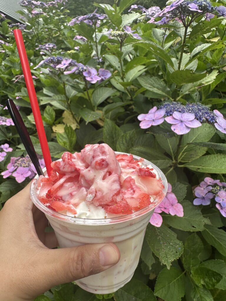 あじさいを背景にしたいちごの練乳アイス