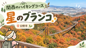秋色に染まった森の中に、吊り橋「星のブランコ」が架かる風景。遠くには交野市の街並みが広がる。